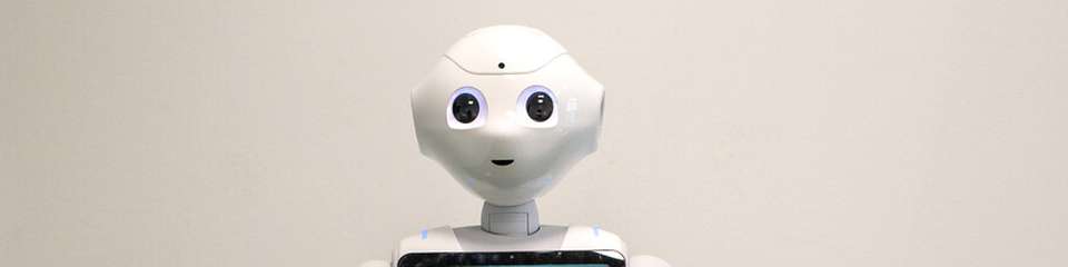 Mein Kollege, der Roboter: Sechs Wochen war „Pepper“ bei einem regionalen Unternehmen mit mehreren Standorten im Einsatz.