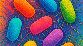 Multiresistente Keime wie MRSA stellen ein erhebliches Risiko in Kliniken dar. Neue Fern-UVC-Mikro-LEDs ermöglichen deren gezielte Eradizierung – sogar in schwer zugänglichen Körperregionen wie dem Nasen-Rachen-Raum.