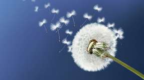 A+S BioTec setzt seit über 50 Jahren auf Aerzen-Gebläsetechnik für die zuverlässige Förderung sensibler Schüttgüter.