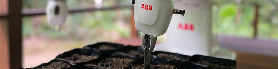 Pilotprojekt von ABB Robotics zur Wiederaufforstung im Amazonas: Im Rahmen des Pilotprogramms setzt YuMi jeden Morgen rund 640 Saatgutbeutel ein.