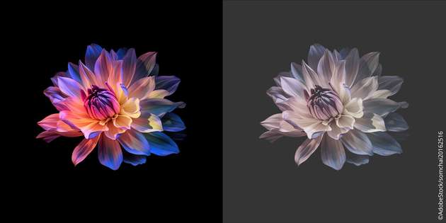 Bei einem Full-Array-Backlight ist das Schwarz satter und die Farben kontrastreicher.