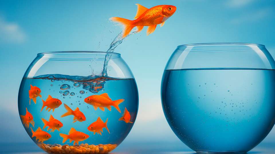 In der modernen Arbeitswelt sind Agilität und Diversität entscheidende Faktoren, um aktuellen Herausforderungen erfolgreich zu begegnen. Führungskräfte müssen sich daher kontinuierlich anpassen, um resilient und zukunftsfähig zu bleiben.