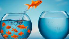 In der modernen Arbeitswelt sind Agilität und Diversität entscheidende Faktoren, um aktuellen Herausforderungen erfolgreich zu begegnen. Führungskräfte müssen sich daher kontinuierlich anpassen, um resilient und zukunftsfähig zu bleiben.