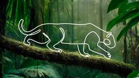 Nur wer clever ist, findet den Weg Mit KI den Daten auf der Spur.