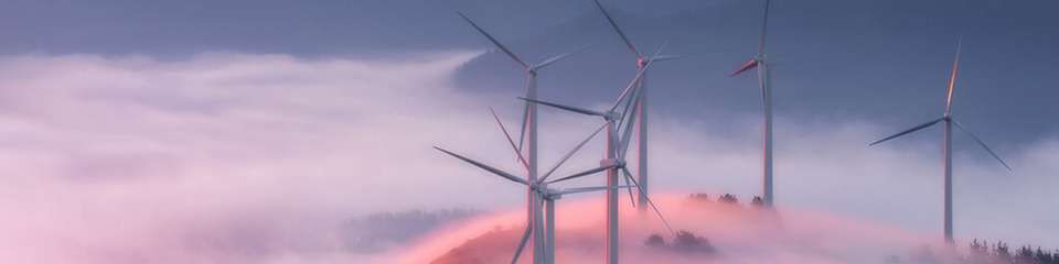 Der Ausbau von Onshore-Windenergie soll durch das RED-III-Umsetzungsgesetz deutlich beschleunigt werden – doch offene Fragen beim Naturschutz und der Datenbasis stellen Behörden vor Herausforderungen.