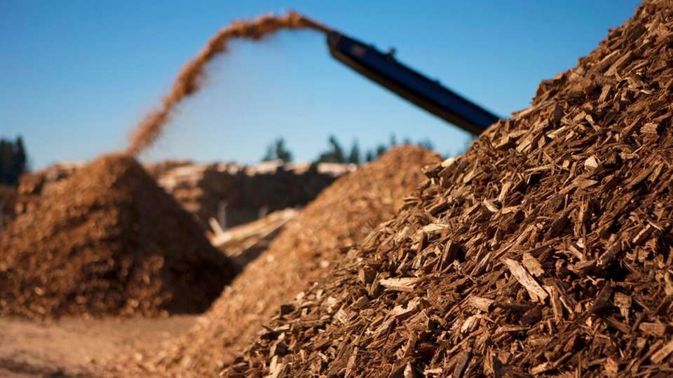 Biomasse kann in der Industrie zur Dekarbonisierung beitragen – eine gezielte Nutzung erfordert jedoch sektorübergreifende Anreize und eine klare Strategie.
