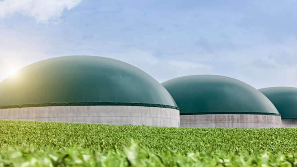 Die flexible Anschlussvereinbarung soll den Betrieb von Biogas-Anlagen stärker an Netzlast und Erzeugungsspitzen anpassen.