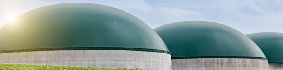 Die flexible Anschlussvereinbarung soll den Betrieb von Biogas-Anlagen stärker an Netzlast und Erzeugungsspitzen anpassen.