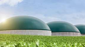 Die flexible Anschlussvereinbarung soll den Betrieb von Biogas-Anlagen stärker an Netzlast und Erzeugungsspitzen anpassen.