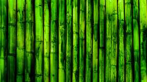 Bei der Entwicklung einer Kupplung ließen sich die Ingenieure von Jakob von der Natur inspirieren, insbesondere von Bambus. Bambus zeichnet sich durch seine hohe Flexibilität über die gesamte Länge aus und ermöglicht große Biegeauslenkungen, ohne zu brechen. Gleichzeitig weist er ein geringes Verhältnis von Masse zu Stammdurchmesser auf. Diese Eigenschaften wollten die Ingenieure auf das Kupplungsrohr übertragen.