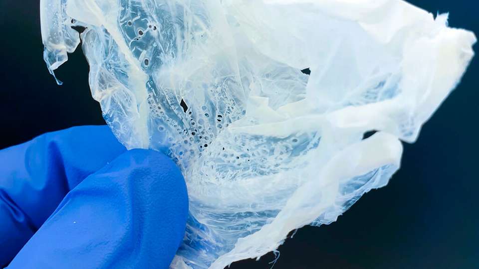 Der Kunststoff Polyhydroxyalkanoat (PHA) kann aus organischen Säuren produziert werden.