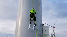 Fleximaus hat eine KI-gestützte Software für den Vogelschutz in Windparks entwickelt. 