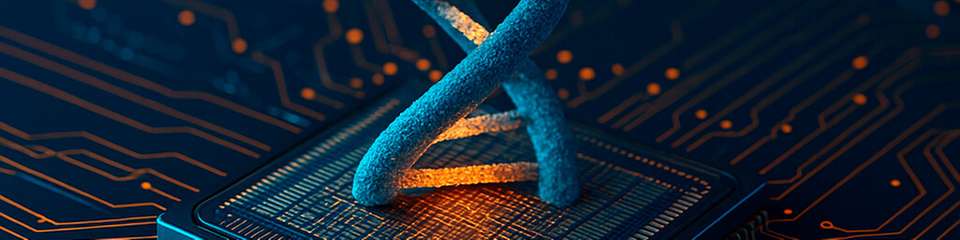 Forschende am KIT entwickeln DNA-basierte Computerchips nach dem Vorbild biologischer Prozesse. Biomolekulare Kondensate dienen dabei als „Rechenzentren“ der Zelle und könnten künftig biomedizinische Anwendungen wie intelligente Krebstherapien ermöglichen.