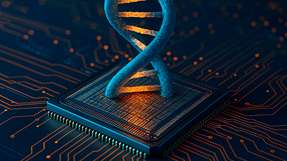 Forschende am KIT entwickeln DNA-basierte Computerchips nach dem Vorbild biologischer Prozesse. Biomolekulare Kondensate dienen dabei als „Rechenzentren“ der Zelle und könnten künftig biomedizinische Anwendungen wie intelligente Krebstherapien ermöglichen.