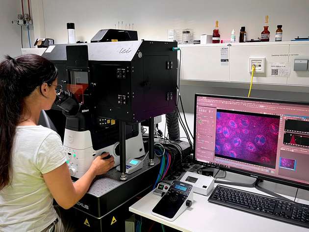 Um das Verhalten der DNA nachvollziehbar und vorhersagbar zu machen, kombinieren die Forschenden Laborexperimente mit Computersimulationen.