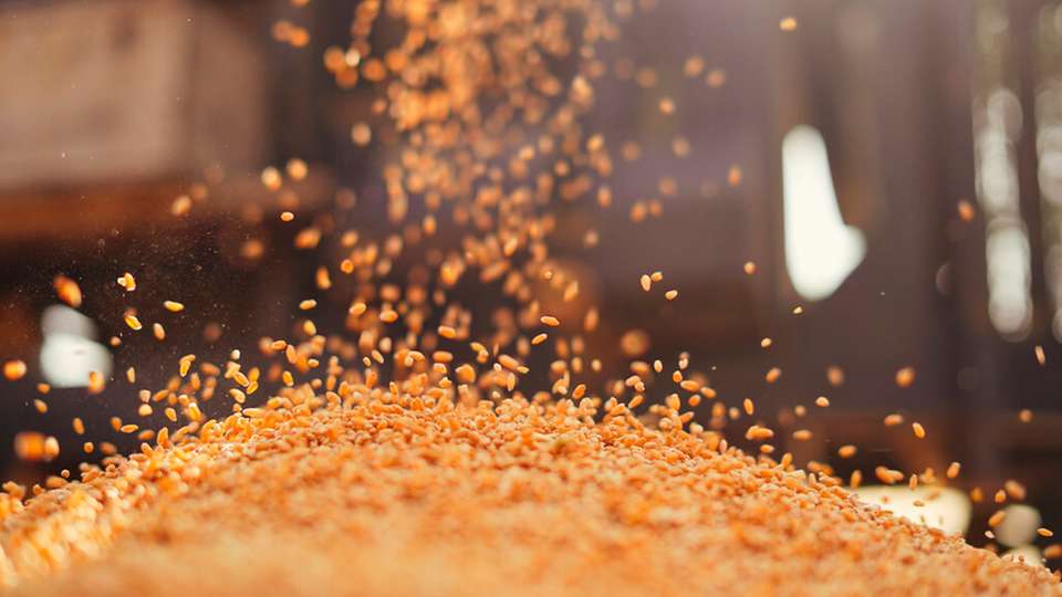 Im Gegensatz zu verpackten Produkten durchlaufen Lebensmittel in Großmengen die Produktionslinien in loser Form, wodurch herkömmliche Inspektionsmethoden weniger effektiv sind. 