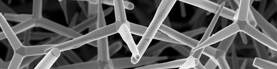 Rasterelektronenaufnahme: Ausgangsstruktur des Materials – winzige Zinkoxid-Tetrapoden, überzogen mit einer nanometerdünnen Schicht aus Graphen.