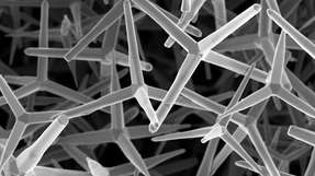 Rasterelektronenaufnahme: Ausgangsstruktur des Materials – winzige Zinkoxid-Tetrapoden, überzogen mit einer nanometerdünnen Schicht aus Graphen.