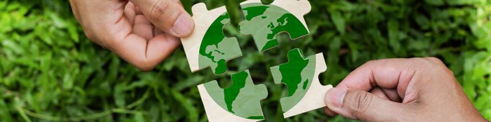 Der ESG-Bericht 2024/25 von RS zeigt Fortschritte bei CO2-Reduktion, Verpackungen, Mitarbeiterförderung und gesellschaftlichem Engagement.