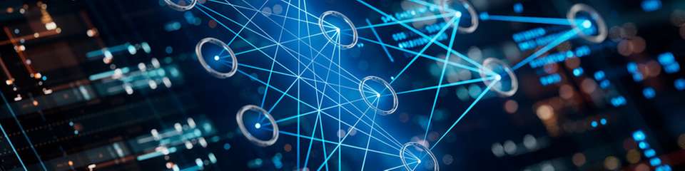 Ein LoRaWAN-Netzwerk überträgt die Daten der eingesetzten Sensoren an einen zentralen Server, der mit IoT-Plattformen und -Anwendungen verbunden ist.
