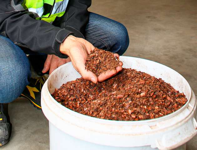 In Mannheim verarbeitet ofi Kakaobohnen zu Kakaopulver, -butter und -masse – und neuerdings auch zu Dampf.