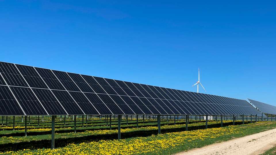 Die neuen Photovoltaik-Projekte von Wpd liefern grünen Strom und verbinden CO2-freie Energieerzeugung mit landwirtschaftlicher Nutzung.