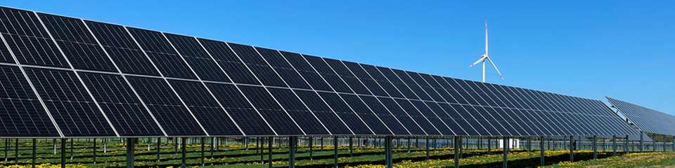 Die neuen Photovoltaik-Projekte von Wpd liefern grünen Strom und verbinden CO2-freie Energieerzeugung mit landwirtschaftlicher Nutzung.