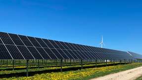 Die neuen Photovoltaik-Projekte von Wpd liefern grünen Strom und verbinden CO2-freie Energieerzeugung mit landwirtschaftlicher Nutzung.