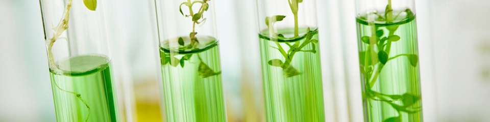 Ein neu entwickeltes bimetallisches Katalysatorsystem ermöglicht, das Klimagas CO2 gemeinsam mit grünem Wasserstoff als Rohstoff für die Herstellung industriell wichtiger Chemikalien zu nutzen.