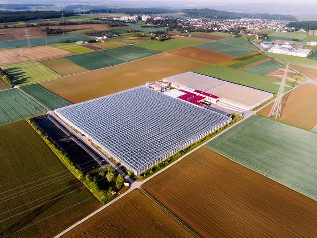 Firmensitz von Hagdorn Tomaten in Hochdorf/Enz. Das Unternehmen setzt auf Sektorkopplung und Flexvermarktung mit der LEW.