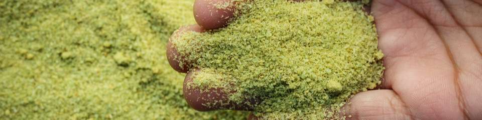 Die neue Anlage in Altenstadt gewinnt aus Klärschlamm hochwertigen Phosphatdünger zurück und setzt damit Maßstäbe für nachhaltige Ressourcennutzung in der Kreislaufwirtschaft.