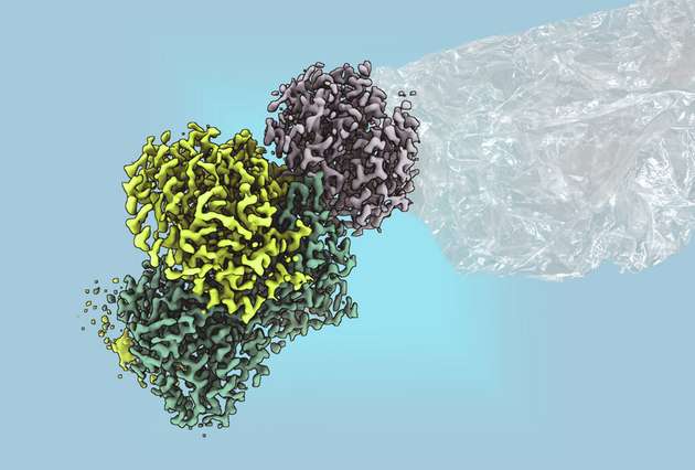 Mit einem bakteriellen Enzym könnte man zukünftig Plastik nachhaltig erzeugen.