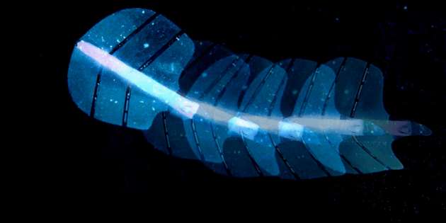 Ein Stachelrochen-Roboter aus künstlichen Muskeln mit Mikroblasen, der sich mittels Ultraschalls navigieren lässt und beispielsweise Medikamente an den richtigen Ort bringen kann.