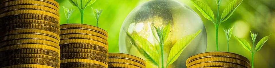 Das globale Wachstum auf Basis der linearen Ökonomie steht auf der Kippe. Bürkert sieht eine Lösung in einer Vision, die Zusammenhänge systemisch betrachtet und regenerative Wirtschaft zum Leitbild macht.