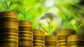 Das globale Wachstum auf Basis der linearen Ökonomie steht auf der Kippe. Bürkert sieht eine Lösung in einer Vision, die Zusammenhänge systemisch betrachtet und regenerative Wirtschaft zum Leitbild macht.