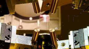 Im Projekt SmaraQ entwickeln Forschende photonische Chips mit integrierten UV-Wellenleitern, die Licht präzise auf Ionenfallen-Quantenprozessoren lenken.