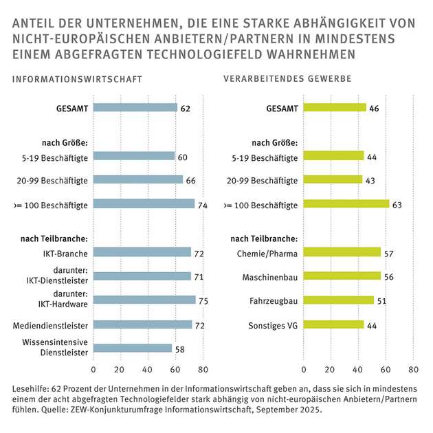 Anteil der Unternehmen, die eine starke Abhängigkeit von nicht-europäischen Anbietern oder Partnern in mindestens einem abgefragten Technologiefeld wahrnehmen