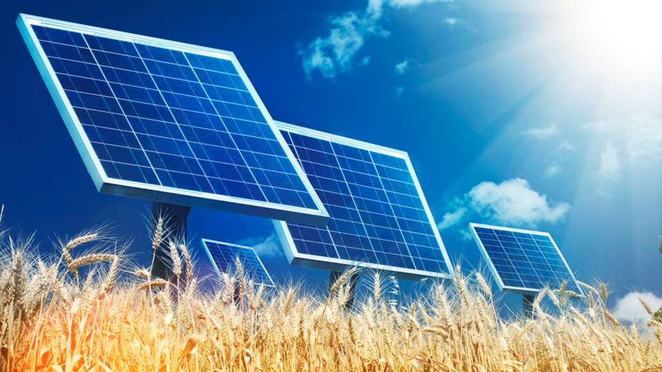 Neben ökologischen Vorteilen kann Agri-PV auch zur wirtschaftlichen Stabilität landwirtschaftlicher Betriebe beitragen.