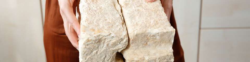 Pilzbasiertes Baumaterial aus dem Sonderforschungsbereich MY-CO BUILD: Die Forschungsarbeiten der TU Berlin untersuchen Struktur, Herstellungsprozesse und Nachhaltigkeit neuartiger biogener Werkstoffe.