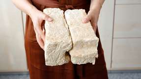 Pilzbasiertes Baumaterial aus dem Sonderforschungsbereich MY-CO BUILD: Die Forschungsarbeiten der TU Berlin untersuchen Struktur, Herstellungsprozesse und Nachhaltigkeit neuartiger biogener Werkstoffe.