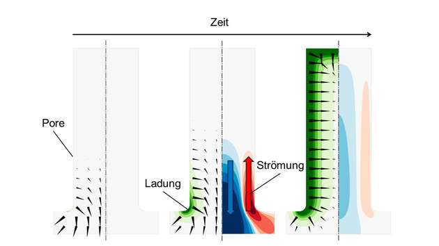 Die Ladung der Pore (grün), das elektrische Feld (schwarze Pfeile) und die Strömung (blau/rot) während des Aufladungsvorgangs.