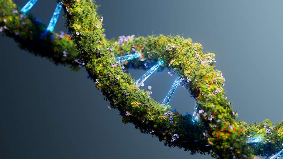 An globalen Standorten zeigen nachhaltige Projekte, wie technische Investitionen und verändertes Verhalten gemeinsam zur Dekarbonisierung beitragen können.