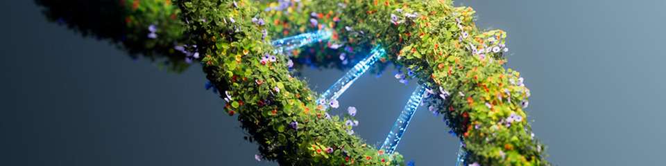 An globalen Standorten zeigen nachhaltige Projekte, wie technische Investitionen und verändertes Verhalten gemeinsam zur Dekarbonisierung beitragen können.