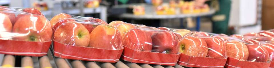 Bei Verpackungsmaschinen für Obst und Gemüse stehen hohe Linienleistung, Produktschonung und der Einsatz recyclingfähiger Materialien im Mittelpunkt.