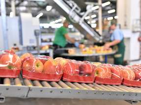 Bei Verpackungsmaschinen für Obst und Gemüse stehen hohe Linienleistung, Produktschonung und der Einsatz recyclingfähiger Materialien im Mittelpunkt.