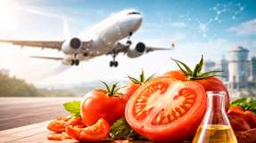 Das EU-Projekt ToFuel entwickelt ein Bioraffineriekonzept, das aus Tomatenabfällen nachhaltigen Flugkraftstoff sowie weitere Wertstoffe erzeugt.