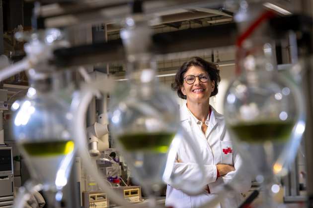 ToFuel-Projektleiterin Marlene Kienberger vom Institut für Chemische Verfahrenstechnik und Umwelttechnik der TU Graz.