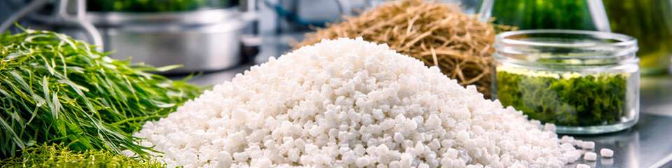 Biopolymer-Granulat auf PBS-Basis steht im Fokus der Forschung an vollständig biobasierten Kunststoffen. Organische Abfälle wie Grünschnitt, Heu und Algen dienen dabei als Ausgangsstoffe für industrienahe Prozesse.