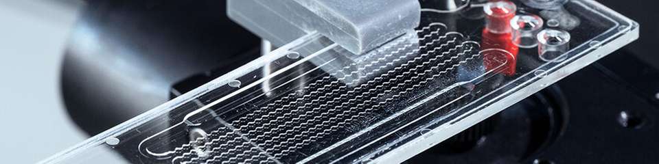 Mikrofluidischer Chip des Sensorsystems: Er ermöglicht den schnellen Nachweis von PFAS direkt vor Ort in wässrigen Proben.