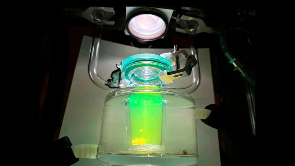 Es gibt neue Möglichkeiten für eine effiziente Wasserstoffproduktion aus Sonnenenergie, bei der das seltene Metall Platin nicht verwendet wird. In einem Reaktor im Chemielabor der Chalmers University of Technology in Schweden sind die entstehenden Wasserstoffgasblasen mit bloßem Auge gut zu erkennen, was darauf hindeutet, dass die Photokatalyse effizient abläuft. 